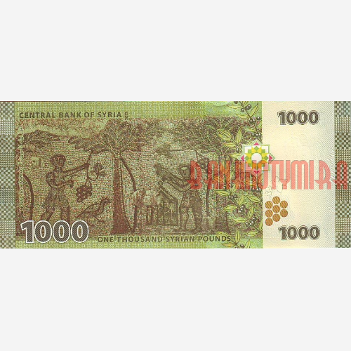 SYP1K-017 Сирия. 1000 фунтов. 2013 год. UNC